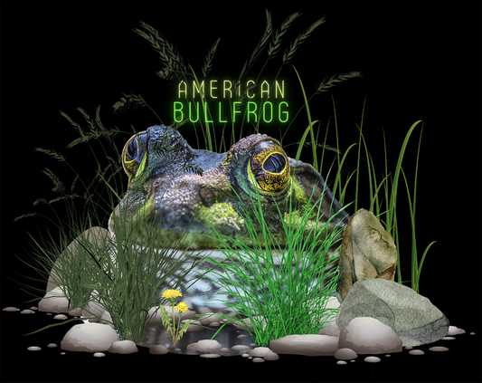 An American Bull Frog Photo Tee - Unisex Heavy Cotton T-Shirt