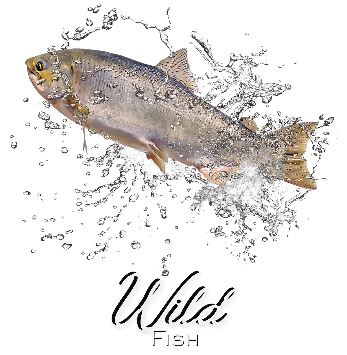 T-shirt featuring a photo of a Wild Chinook Salmon Fish with a water splash graphic design!