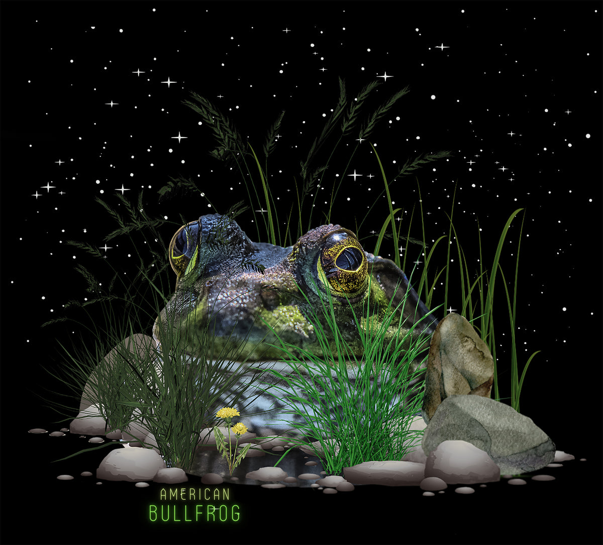 Frog Under a night Sky filled with Stars Tee - Unisex Heavy Cotton T-Shirt