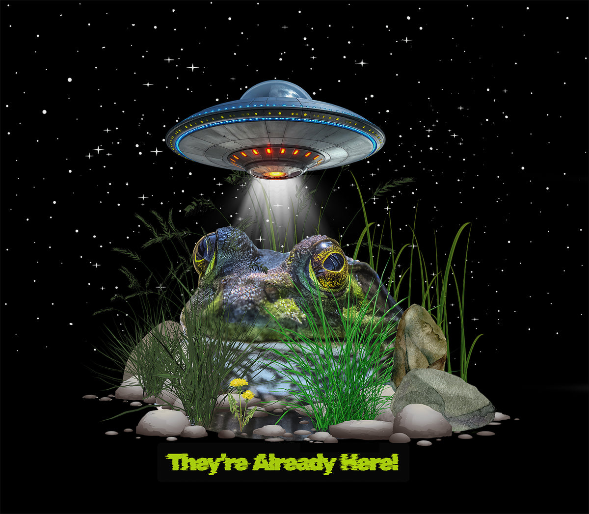 Frog and Aliens Tee - Unisex Heavy Cotton T-Shirt